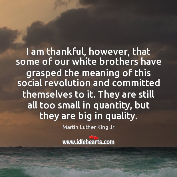 I am thankful, however, that some of our white brothers have grasped Thankful Quotes Image