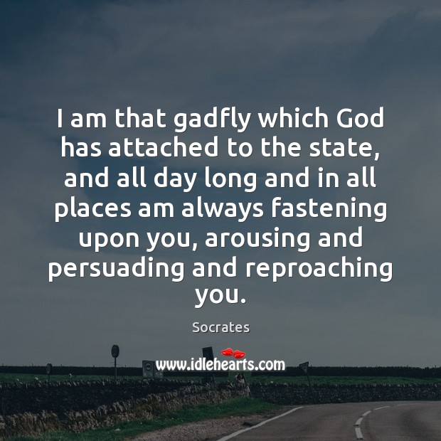 I am that gadfly which God has attached to the state, and Socrates Picture Quote