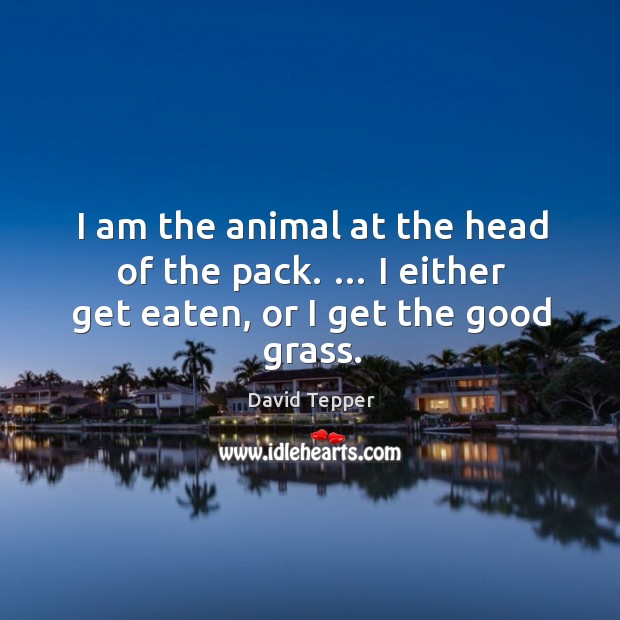 I am the animal at the head of the pack. … I either get eaten, or I get the good grass. David Tepper Picture Quote