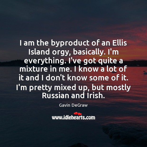 I am the byproduct of an Ellis Island orgy, basically. I’m everything. Gavin DeGraw Picture Quote