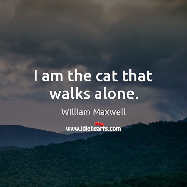 I am the cat that walks alone. William Maxwell Picture Quote