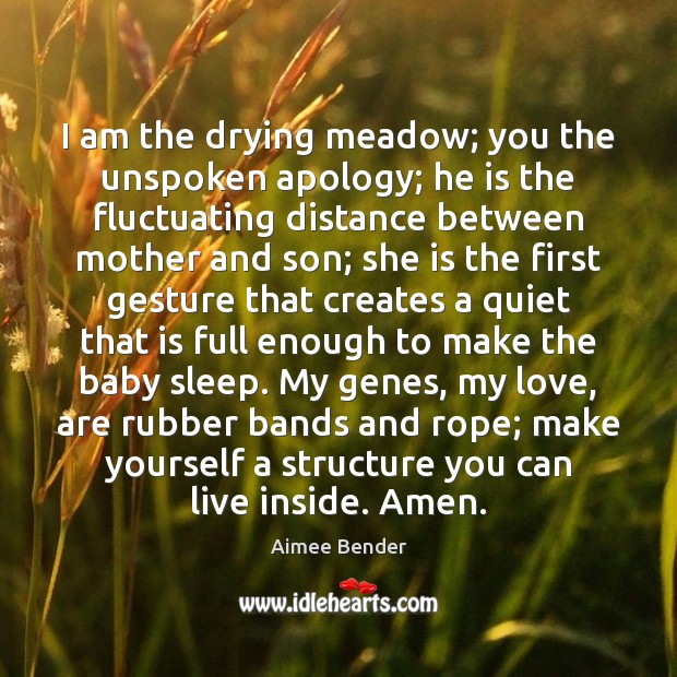 I am the drying meadow; you the unspoken apology; he is the Aimee Bender Picture Quote