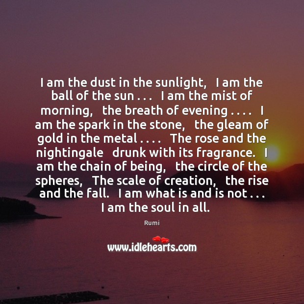 I am the dust in the sunlight,   I am the ball of Rumi Picture Quote