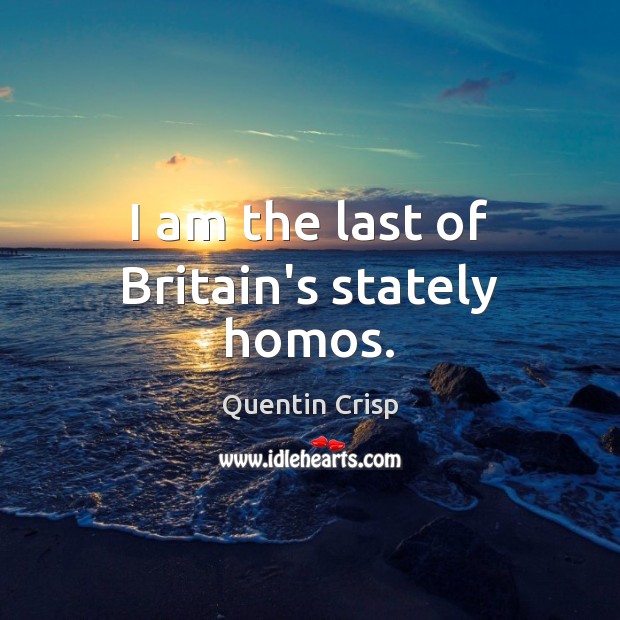 I am the last of Britain’s stately homos. Image