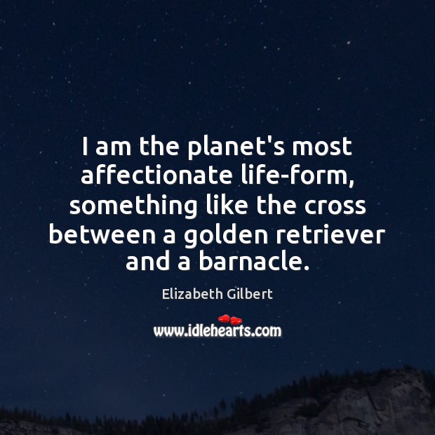 I am the planet’s most affectionate life-form, something like the cross between Elizabeth Gilbert Picture Quote