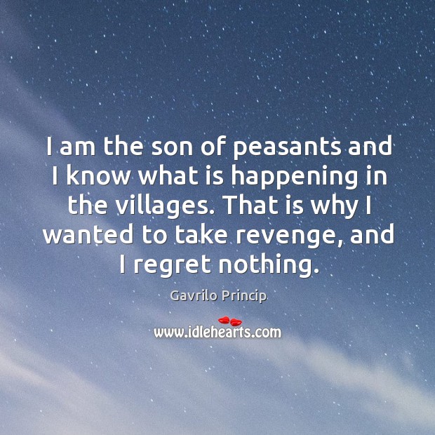 I am the son of peasants and I know what is happening in the villages. Gavrilo Princip Picture Quote