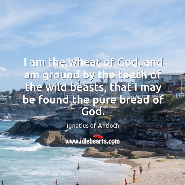 I am the wheat of God, and am ground by the teeth Ignatius of Antioch Picture Quote