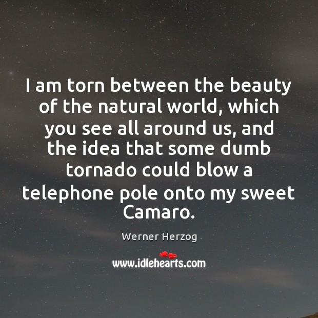 I am torn between the beauty of the natural world, which you Werner Herzog Picture Quote