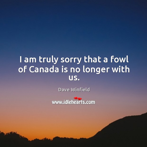 I am truly sorry that a fowl of canada is no longer with us. Dave Winfield Picture Quote