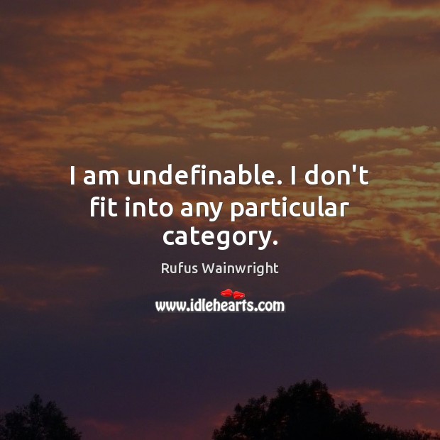 I am undefinable. I don’t fit into any particular category. Rufus Wainwright Picture Quote