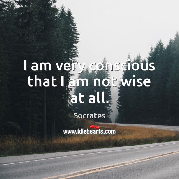 I am very conscious that I am not wise at all. Wise Quotes Image