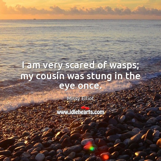 I am very scared of wasps; my cousin was stung in the eye once. Image