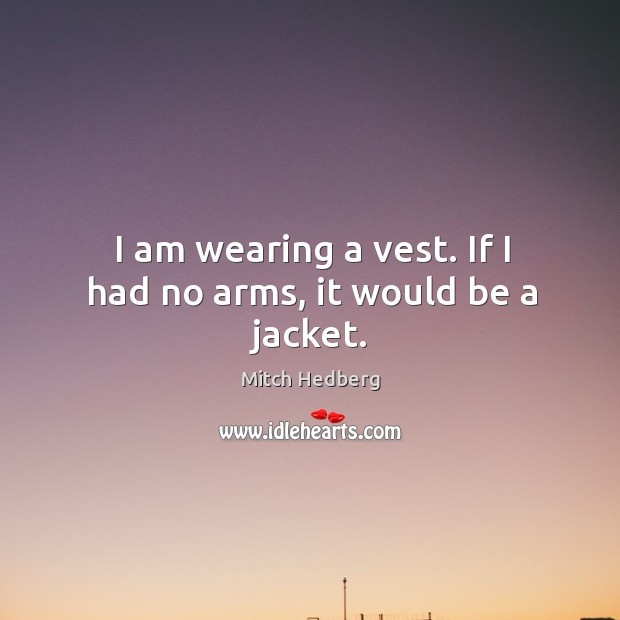 I am wearing a vest. If I had no arms, it would be a jacket. Image