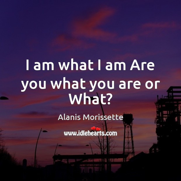 I am what I am Are you what you are or What? Alanis Morissette Picture Quote