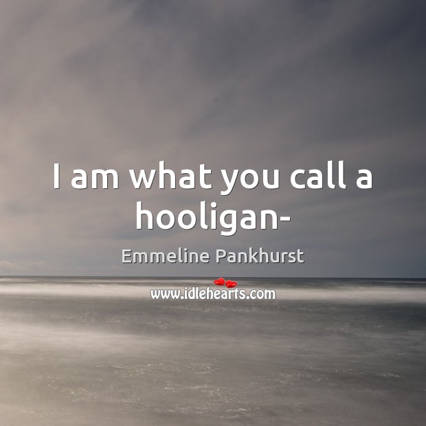 I am what you call a hooligan- Emmeline Pankhurst Picture Quote
