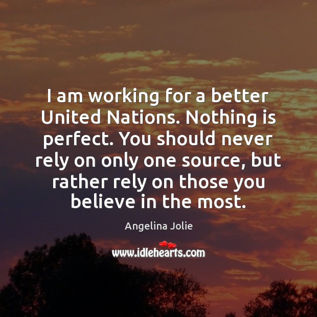 I am working for a better United Nations. Nothing is perfect. You Angelina Jolie Picture Quote