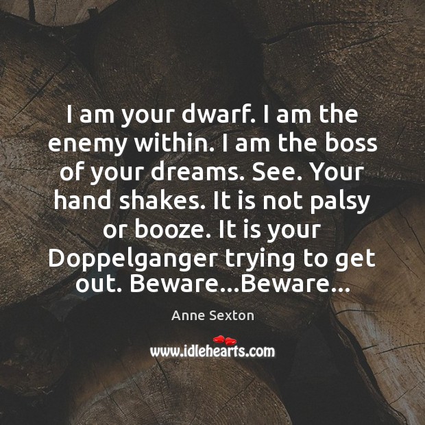 I am your dwarf. I am the enemy within. I am the Image