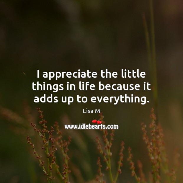 I appreciate the little things in life because it adds up to everything. Lisa M Picture Quote