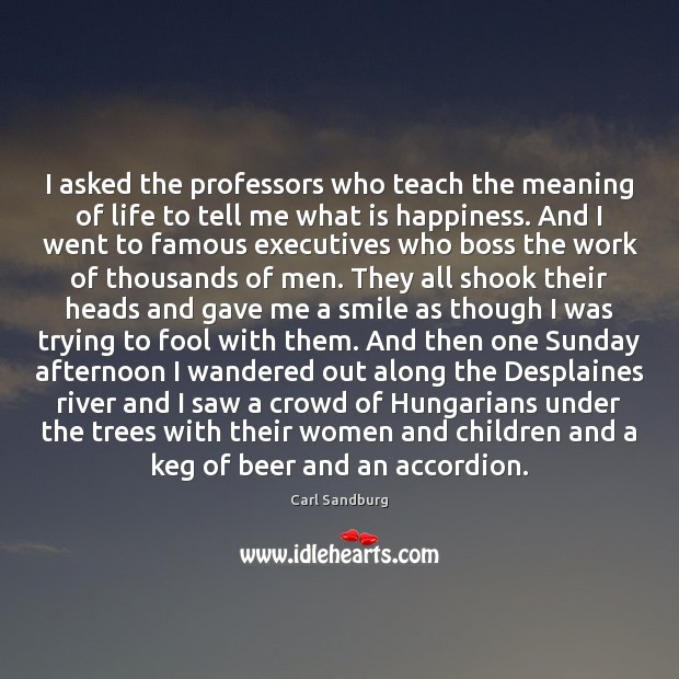 I asked the professors who teach the meaning of life to tell Carl Sandburg Picture Quote