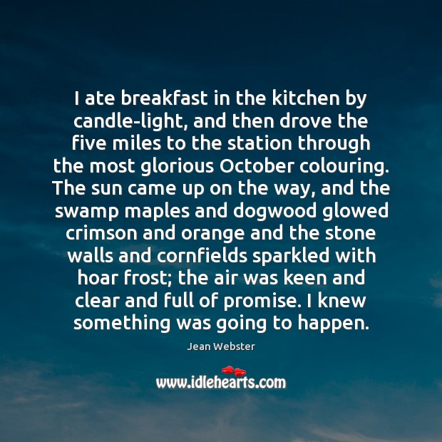 I ate breakfast in the kitchen by candle-light, and then drove the Image