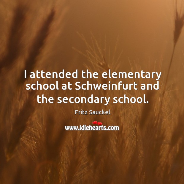 I attended the elementary school at schweinfurt and the secondary school. Image