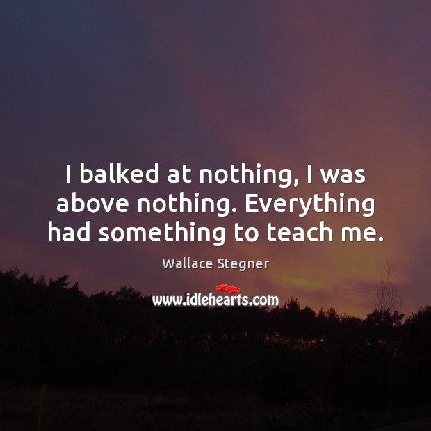 I balked at nothing, I was above nothing. Everything had something to teach me. Wallace Stegner Picture Quote