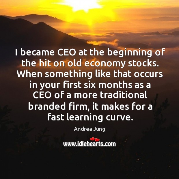 I became ceo at the beginning of the hit on old economy stocks. Andrea Jung Picture Quote