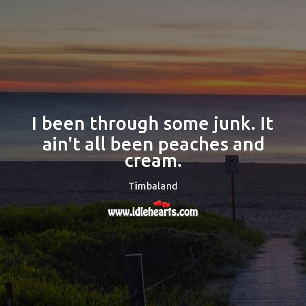 I been through some junk. It ain’t all been peaches and cream. Timbaland Picture Quote
