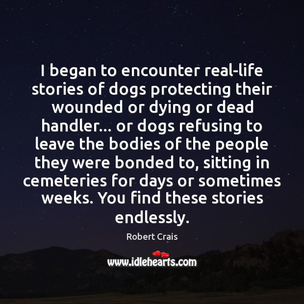 I began to encounter real-life stories of dogs protecting their wounded or Robert Crais Picture Quote
