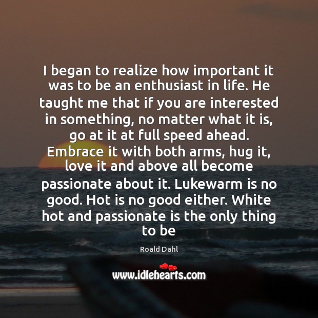 I began to realize how important it was to be an enthusiast Realize Quotes Image