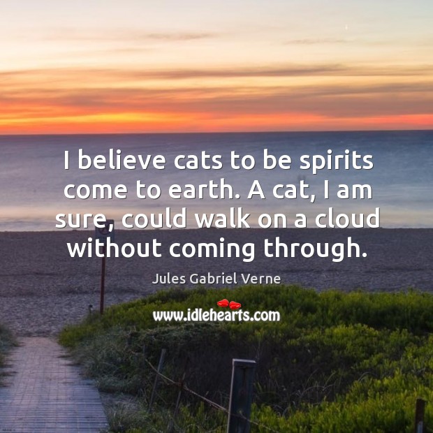 I believe cats to be spirits come to earth. A cat, I am sure, could walk on a cloud without coming through. Image