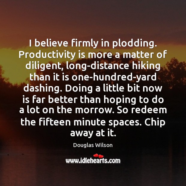 I believe firmly in plodding. Productivity is more a matter of diligent, Douglas Wilson Picture Quote