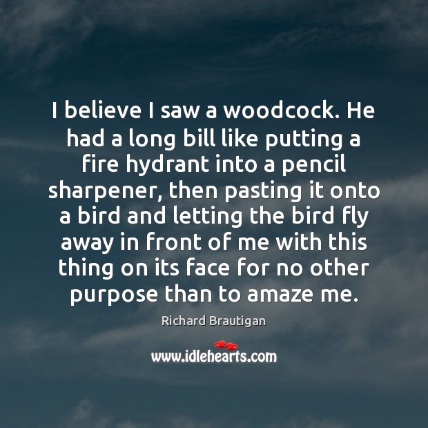 I believe I saw a woodcock. He had a long bill like Richard Brautigan Picture Quote