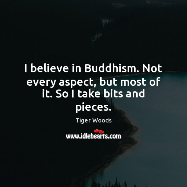 I believe in Buddhism. Not every aspect, but most of it. So I take bits and pieces. Tiger Woods Picture Quote