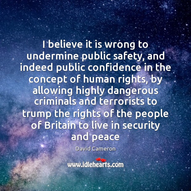 I believe it is wrong to undermine public safety, and indeed public David Cameron Picture Quote