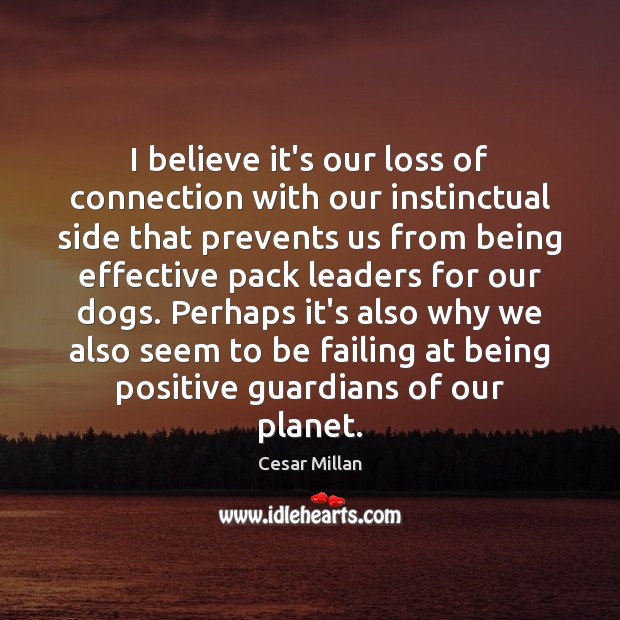 I believe it’s our loss of connection with our instinctual side that 