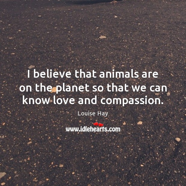 I believe that animals are on the planet so that we can know love and compassion. Louise Hay Picture Quote