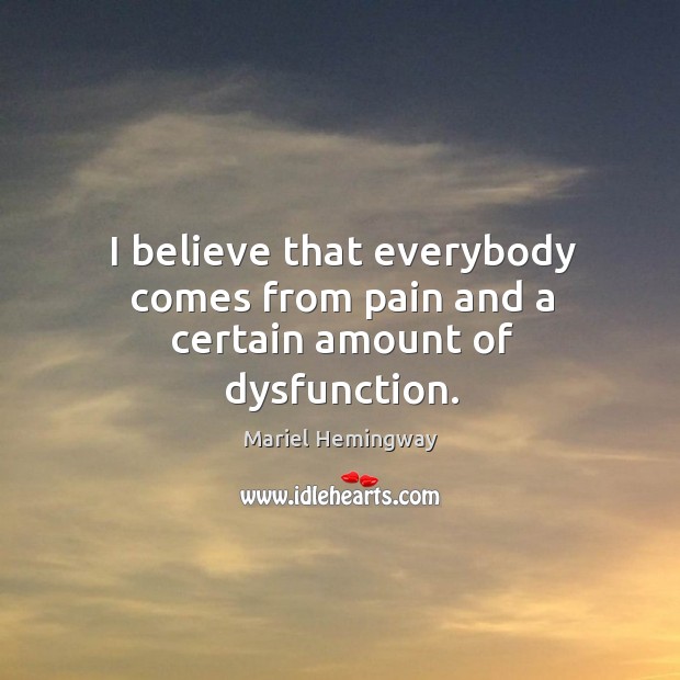 I believe that everybody comes from pain and a certain amount of dysfunction. Mariel Hemingway Picture Quote