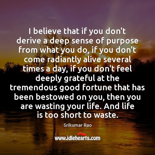 I believe that if you don’t derive a deep sense of purpose Life is Too Short Quotes Image