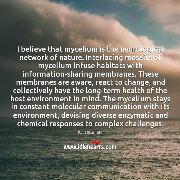 I believe that mycelium is the neurological network of nature. Interlacing mosaics Paul Stamets Picture Quote