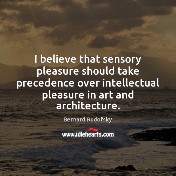I believe that sensory pleasure should take precedence over intellectual pleasure in Image