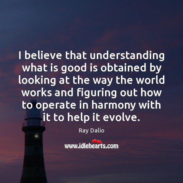 I believe that understanding what is good is obtained by looking at Ray Dalio Picture Quote