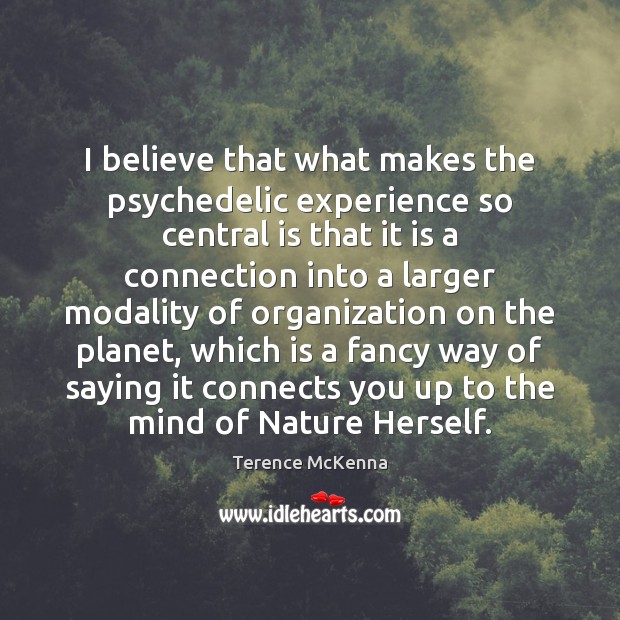 I believe that what makes the psychedelic experience so central is that Terence McKenna Picture Quote