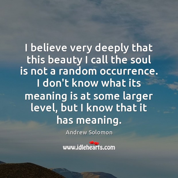 I believe very deeply that this beauty I call the soul is Andrew Solomon Picture Quote