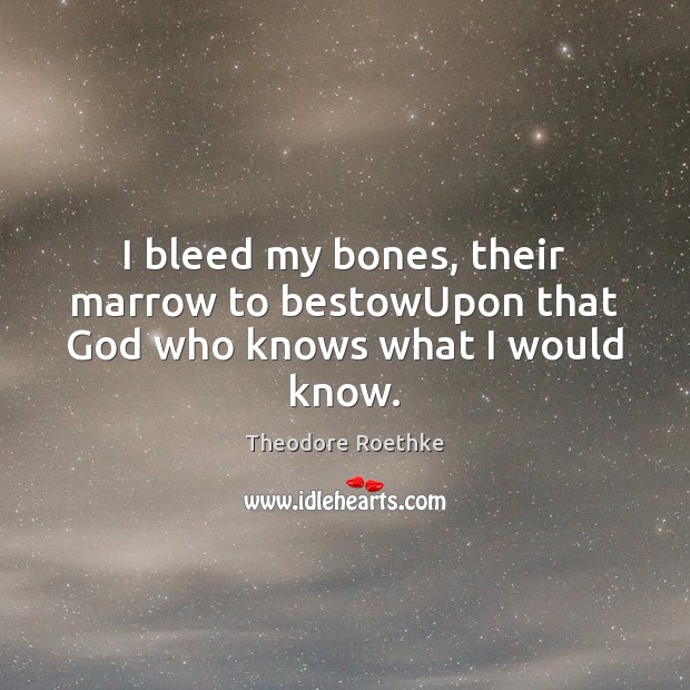 I bleed my bones, their marrow to bestowUpon that God who knows what I would know. Theodore Roethke Picture Quote