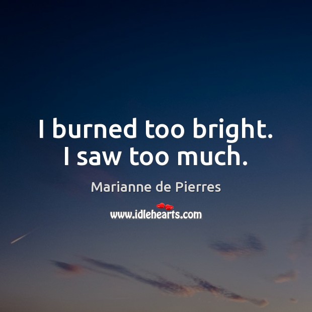 I burned too bright. I saw too much. Marianne de Pierres Picture Quote