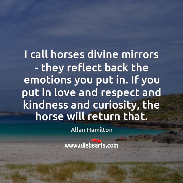 I call horses divine mirrors – they reflect back the emotions you Allan Hamilton Picture Quote