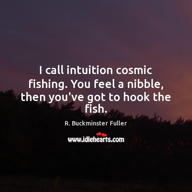 I call intuition cosmic fishing. You feel a nibble, then you’ve got to hook the fish. R. Buckminster Fuller Picture Quote