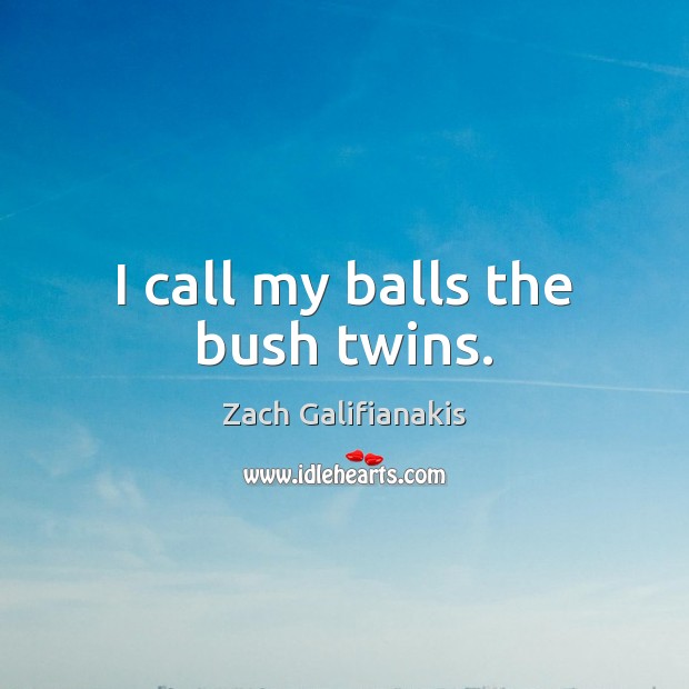 I call my balls the bush twins. Zach Galifianakis Picture Quote