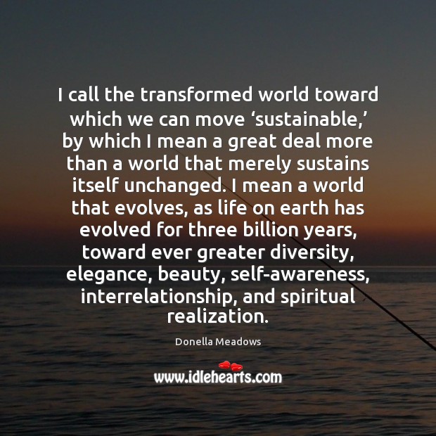 I call the transformed world toward which we can move ‘sustainable,’ by Image